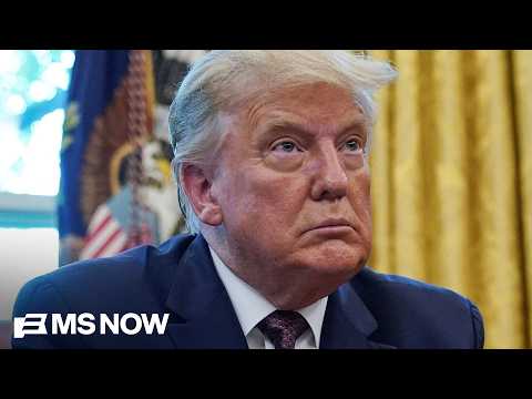 Trump admin’s noncitizen voting conspiracy CRUMBLES
