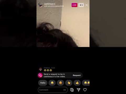 two bulldogs fighting on Instagram live