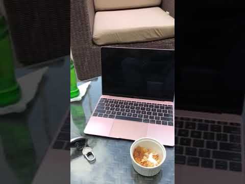 Cy Geezy on Friday bars