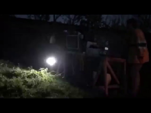 Mysticwood - radikalwood #2