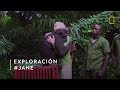 Lo Más Viralizado Jane Goodall