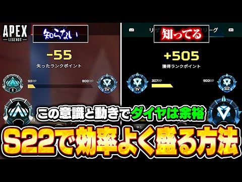 ランクについて詳しく解説
