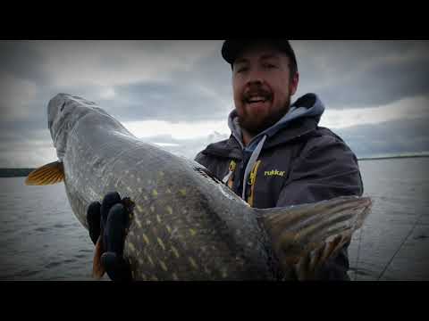 Suurhauen vertikaalijigaus part 2.