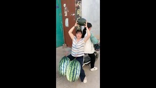 Download lagu 3xcn283t5gc9v5g.mp4 mp3