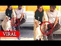 Ex Couple Sunny Deol And Dimple Kapadia S Romance Video Goes Viral