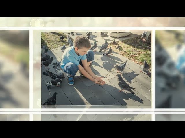 Фото Монтаж видео и анимация