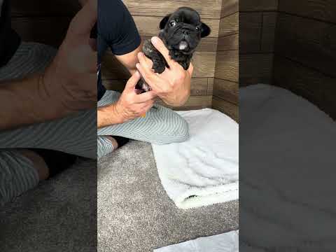 Video 3
