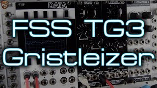 Video thumbnail for Future Sound Systems Gristleizer - TG3 Filter - Chris Carter, Roy Gwinn and Finlay Shakespeare by DivKid