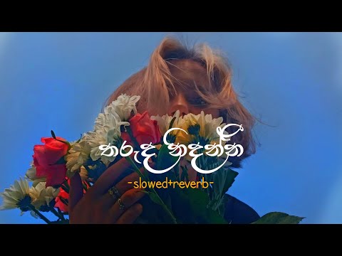 Tharuda Nidanni (Slowed+Reverb)