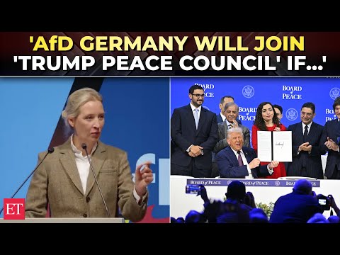 'Zelenskyy should pay for Nord Stream': Germany's Alice Weidel explodes over Russian pipeline blast