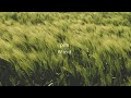 prm. - Wind (Official Audio)