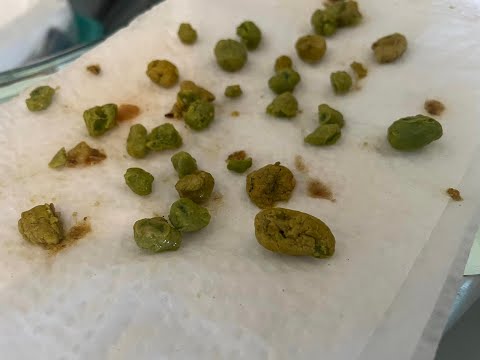 Thumbnail: Live Like You Mean It! Purge Results April 2023