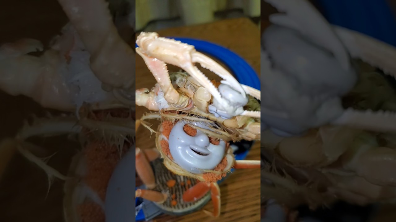 きかんしゃトーマスのカニカニ#shorts