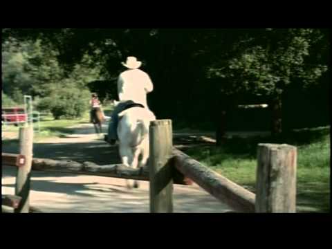 Cowboy Ride- Jay Teter
