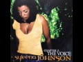 Syleena Johnson - Now That I Got You