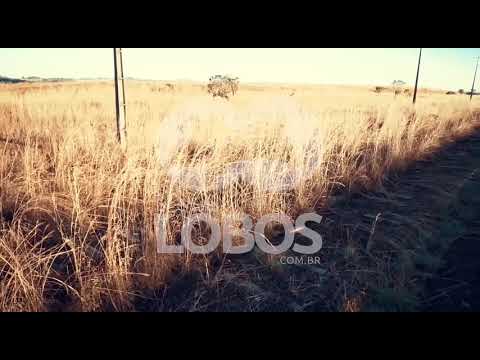 Trem bala - Rumo ao Céu Sr. e Sra. LOBOS