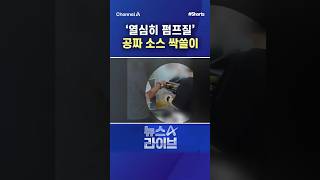 ‘열심히 펌프질’ 공짜 소스 싹쓸이 #채널A #shorts #뉴스A라이브