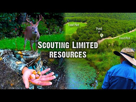 Serious Scouting Now: New Hunting Strategies for 2020 (#562)