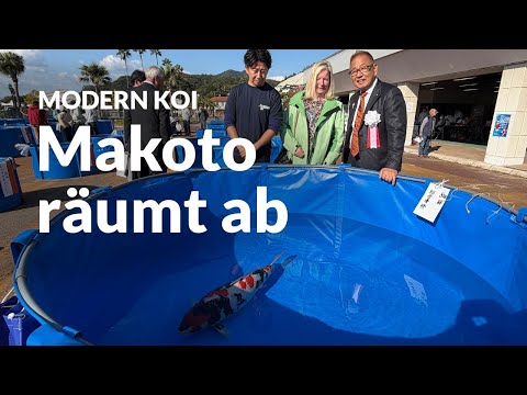 Hiroshima Nogyosai 2025 | Modern Koi Blog Japan #7735