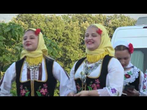 @RadiobiserAt Kukuriku kolo - Vitomir Stanojević #harmonika #selo #dance #igranka #fruit #folklore