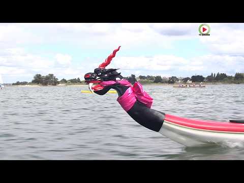 VANNES  |⛵ Semaine du Golfe 2019 Ile d'Arz - TV Quiberon 24/7