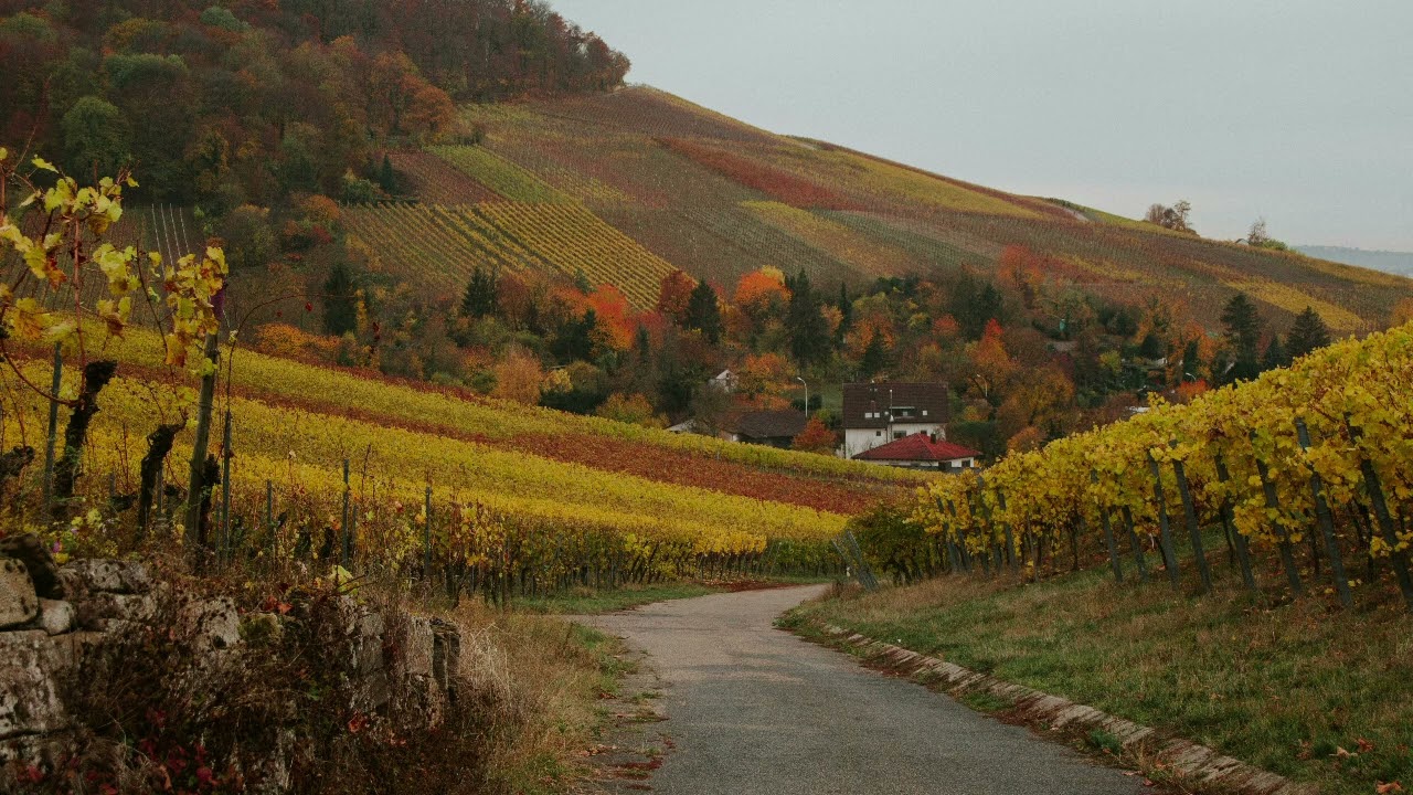 a cozy autumn playlist for a quiet life