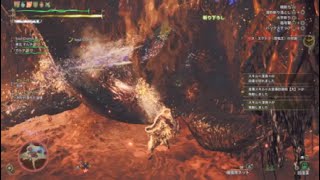 【モンスターハンターワイルズ】☆１０　ヌ・エグドラ