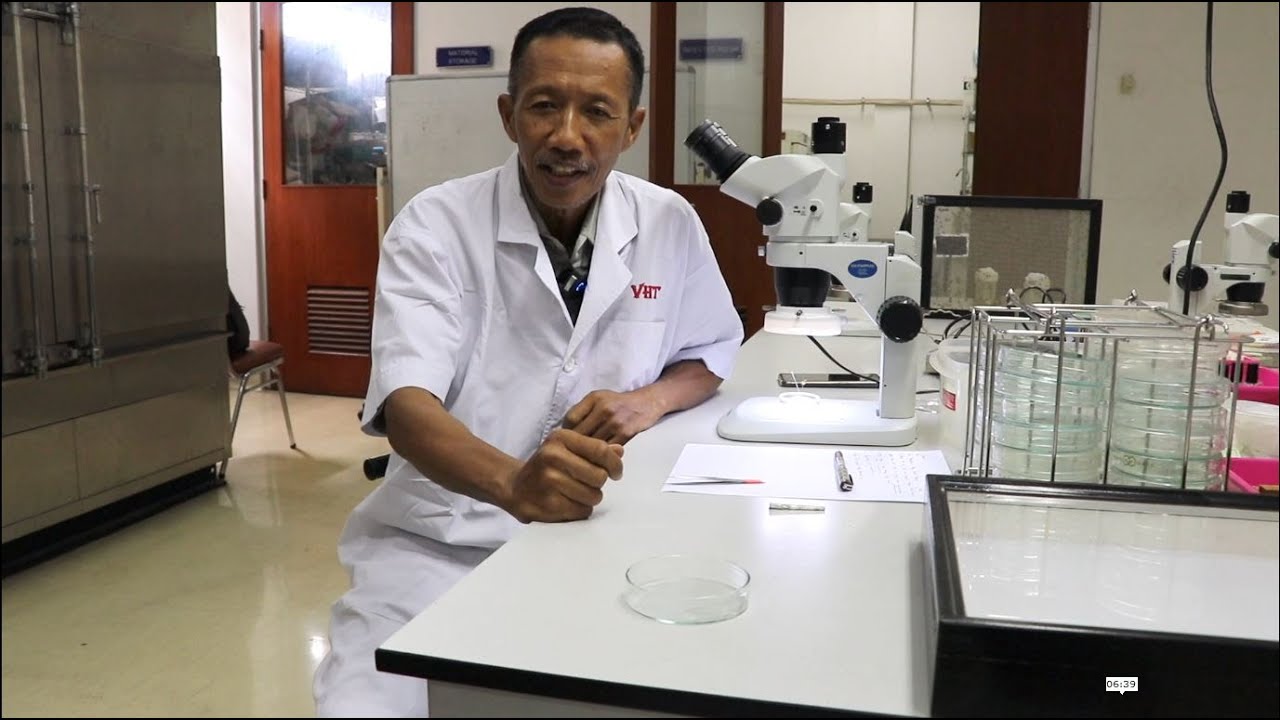 Pembuatan Koleksi Kering