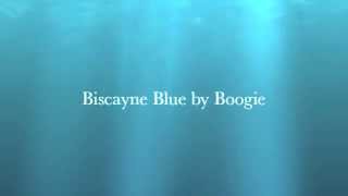 高中正義 Biscayne Blue by Boogie