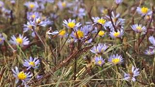 HÍREK A TERMÉSZETBŐL