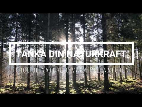 Behöver du boost och balans? Detta är vad en promenad i Naturen kan göra med din naturkraft.