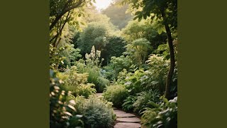 Download lagu Lentera Untuk Malam mp3