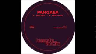 Pangaea - Wont Hurt (HES017) Hessle Audio