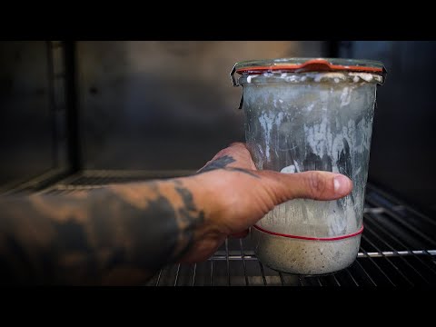 Kennys Surdegsskola 2.0 - Del 3: Hur förvarar man och "väcker" sin surdeg