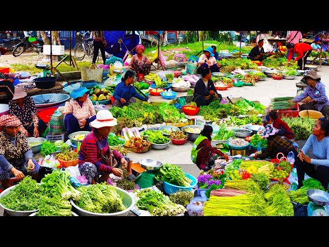 Vegetables Fish Ang Ta Som Market Scene​ Discover Natural Meat and Fresh in Takeo Province