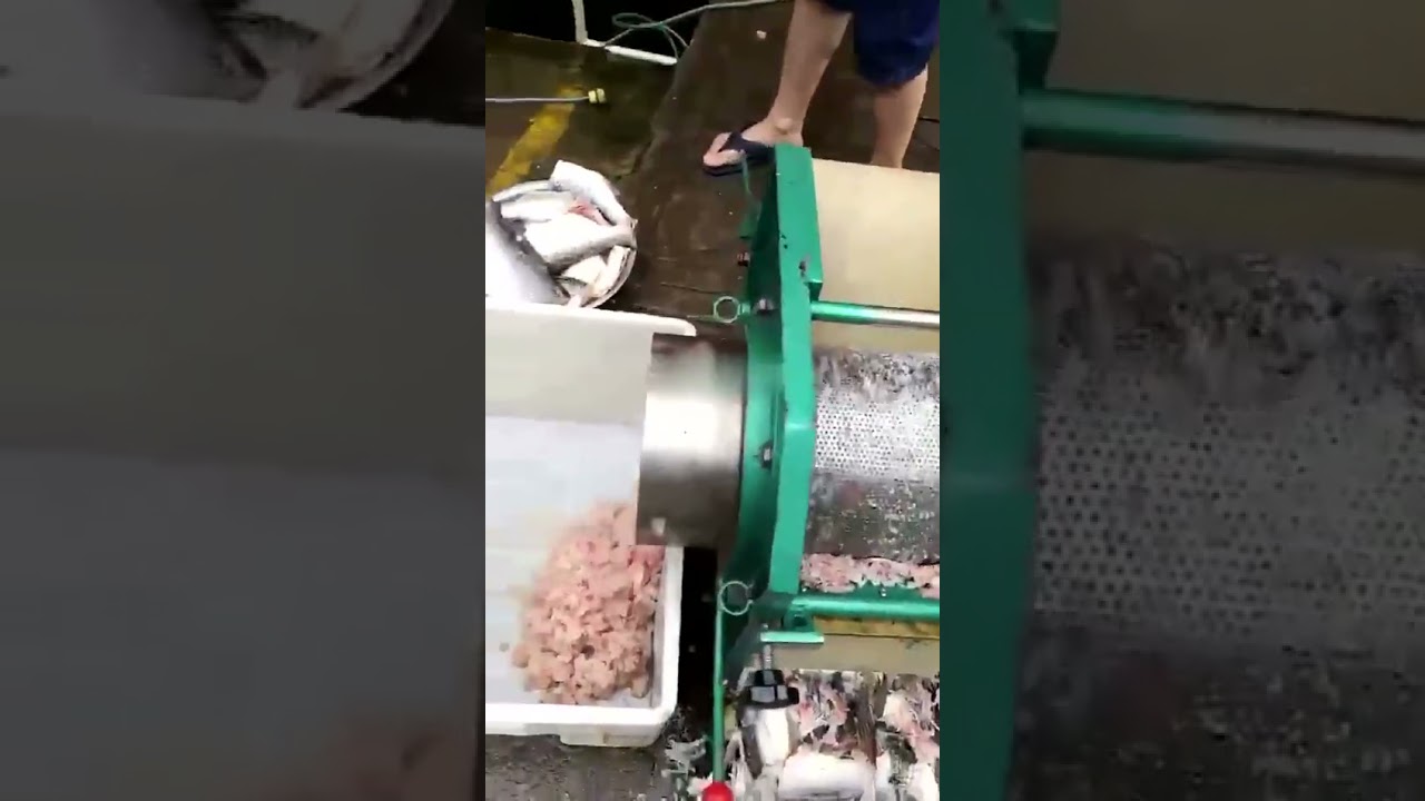 Видео производства фарша из рыбы! Неопресс выдавливает фарш.