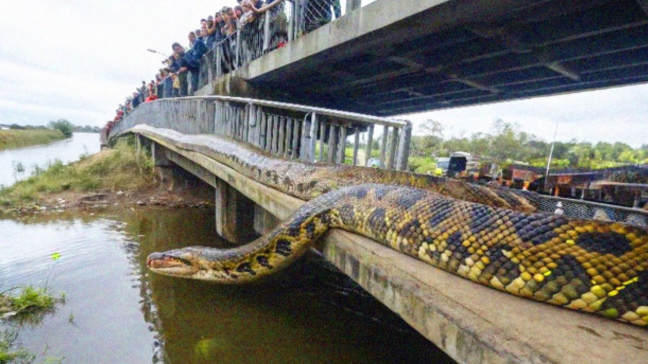 10 Most Dangerous Bridges In The World