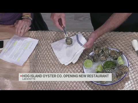 Hog Island Oyster Co. expanding with new East Bay location