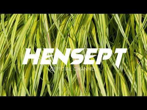 MEXICANOS x MORGAN HERITAGE - JPOD2021