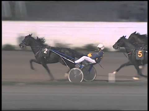 Trotto 14/12/2014 - 6° corsa