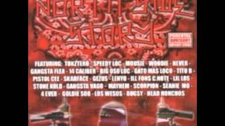 Mousie Huero Los Wesos Red Rum Big Bad Norte