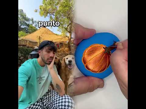 Ayúdame a adoptarla! 🐶🙏#pov #herramientas #sketch #gracioso #actuación #historia