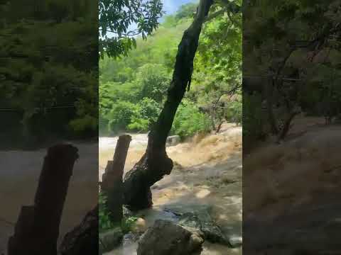 roncador depois da chuva!