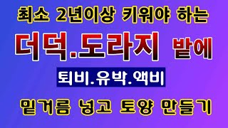 [텃밭농부. 1,358]  더덕과 도라지 밭에 밑거름 넣고 토양만들기 #더덕재배 #도라지재배