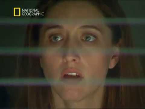 Interpol akták - Az ázsiai hajsza