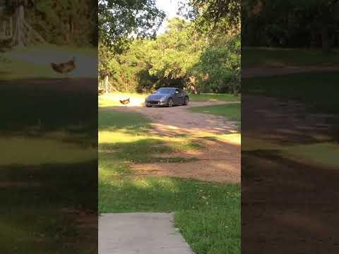 The Day Han Solo Finally Got the Tesla