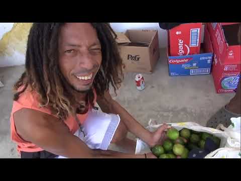 Jah SoulJah ( Guana Roots )