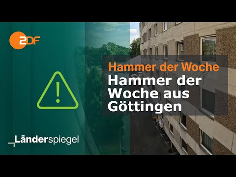 Abgaben begleichen | Hammer der Woche vom 26.07.2025 | ZDF
