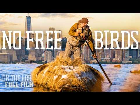 Inside a Real American Black Duck Hunt