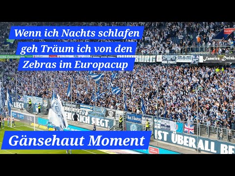 Wenn ich Nachts schlafen geh, Träum ich von den Zebras im Europacup. MSV Fangesang